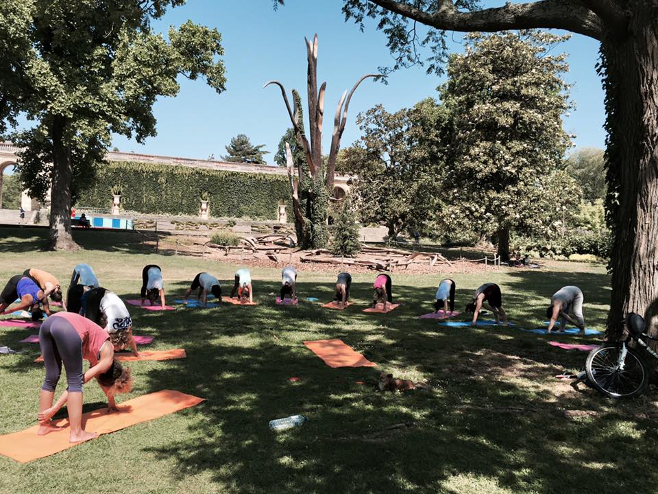 Séance en extérieur au jardin public, ysananda yoga à bordeaux
