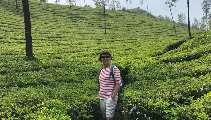 rando plantations de thé Munnar